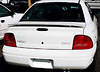 Dodge Neon Spoiler (94-2000) - Painted