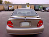 Nissan Maxima Spoiler (2000-2003) - Painted