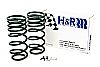 Lincoln Mark Lt  2005-2008 2wd, 4wd H&R Raising Spring Kit