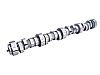 2002 Chevrolet Camaro Z28/SS  XFI RPM Comp Camshafts