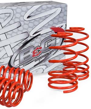 Lowering Springs